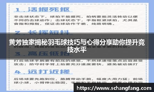 黄芳独家揭秘羽毛球技巧与心得分享助你提升竞技水平